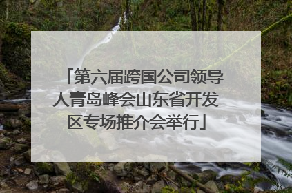 第六届跨国公司领导人青岛峰会山东省开发区专场推介会举行