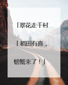 翠花走千村丨稻田有喜，螃蟹来了！