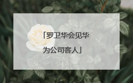 罗卫华会见华为公司客人