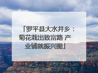 罗平县大水井乡：菊花栽出致富路 产业铺就振兴图