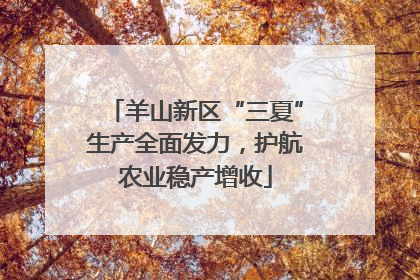 羊山新区“三夏”生产全面发力，护航农业稳产增收