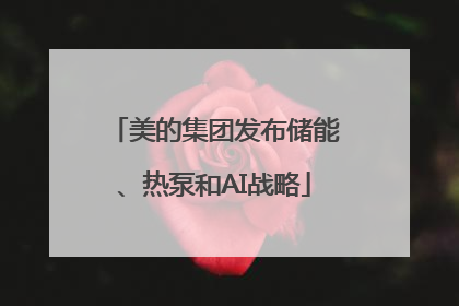 美的集团发布储能、热泵和AI战略