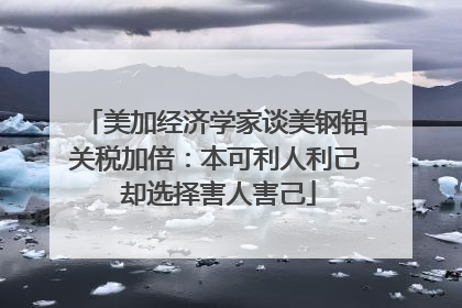 美加经济学家谈美钢铝关税加倍：本可利人利己 却选择害人害己