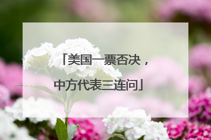 美国一票否决，中方代表三连问
