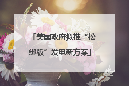 美国政府拟推“松绑版”发电新方案