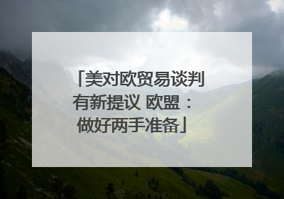 美对欧贸易谈判有新提议 欧盟：做好两手准备