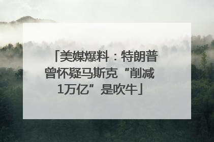 美媒爆料：特朗普曾怀疑马斯克“削减1万亿”是吹牛