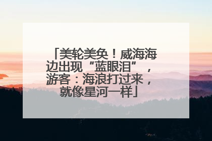 美轮美奂！威海海边出现“蓝眼泪”，游客：海浪打过来，就像星河一样