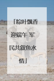 粽叶飘香迎端午 军民共叙鱼水情