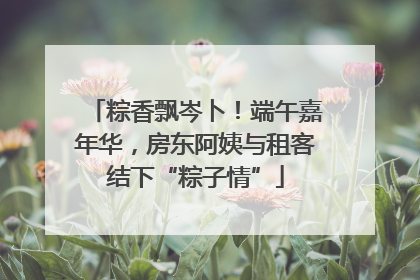 粽香飘岑卜！端午嘉年华，房东阿姨与租客结下“粽子情”