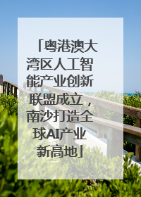 粤港澳大湾区人工智能产业创新联盟成立，南沙打造全球AI产业新高地