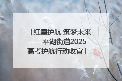 红星护航 筑梦未来——平湖街道2025高考护航行动收官