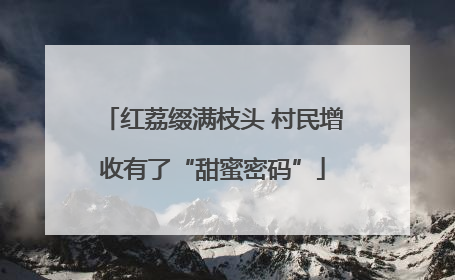 红荔缀满枝头 村民增收有了“甜蜜密码”