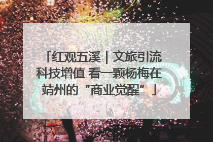 红观五溪｜文旅引流 科技增值 看一颗杨梅在靖州的“商业觉醒”