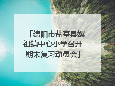 绵阳市盐亭县嫘祖镇中心小学召开期末复习动员会