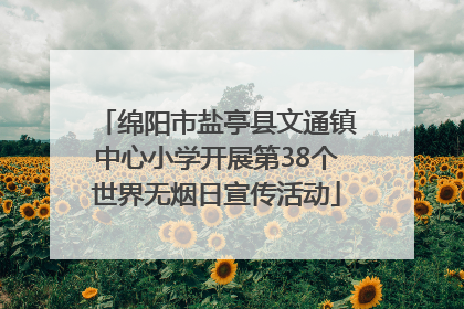 绵阳市盐亭县文通镇中心小学开展第38个世界无烟日宣传活动