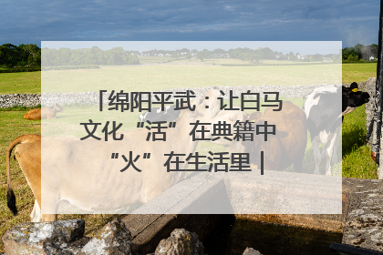 绵阳平武：让白马文化“活”在典籍中 “火”在生活里｜新闻发布最前线