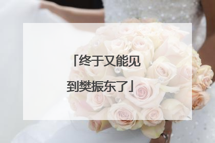 终于又能见到樊振东了