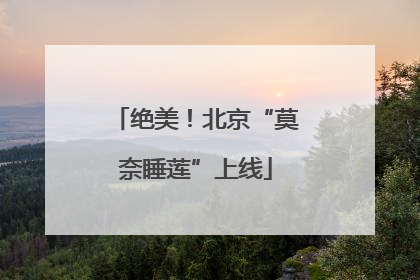 绝美！北京“莫奈睡莲”上线