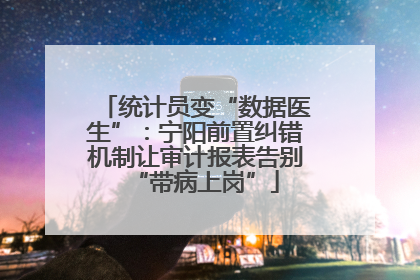 统计员变“数据医生”：宁阳前置纠错机制让审计报表告别“带病上岗”