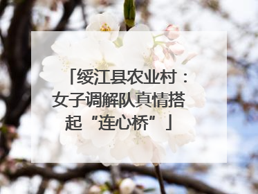 绥江县农业村：女子调解队真情搭起“连心桥”