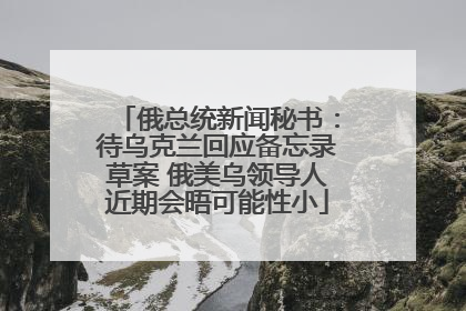 俄总统新闻秘书：待乌克兰回应备忘录草案 俄美乌领导人近期会晤可能性小