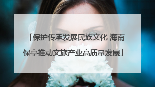 保护传承发展民族文化 海南保亭推动文旅产业高质量发展