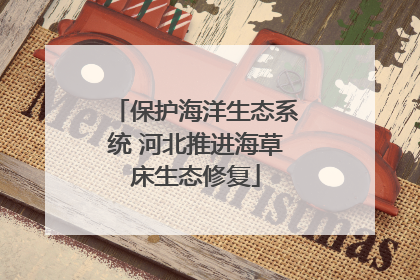 保护海洋生态系统 河北推进海草床生态修复