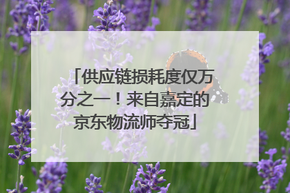 供应链损耗度仅万分之一！来自嘉定的京东物流师夺冠