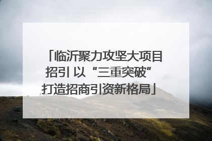临沂聚力攻坚大项目招引 以“三重突破”打造招商引资新格局