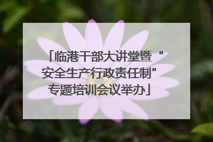 临港干部大讲堂暨“安全生产行政责任制”专题培训会议举办