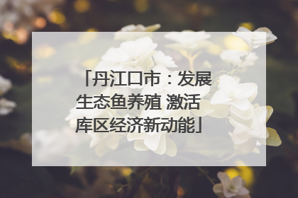 丹江口市：发展生态鱼养殖 激活库区经济新动能