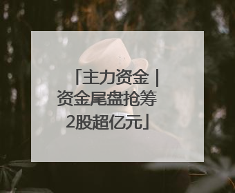 主力资金｜资金尾盘抢筹2股超亿元