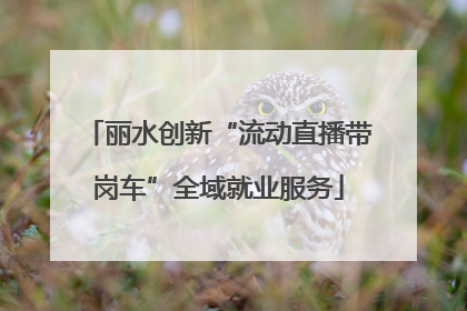 丽水创新“流动直播带岗车”全域就业服务