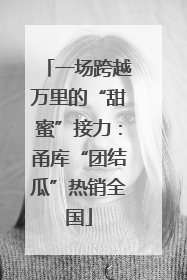 一场跨越万里的“甜蜜”接力：甬库“团结瓜”热销全国