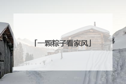 一颗粽子看家风