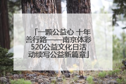 一颗公益心 十年善行路——南京体彩520公益文化日活动续写公益新篇章