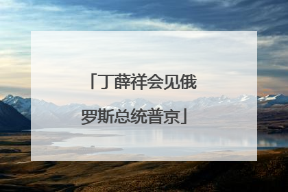 丁薛祥会见俄罗斯总统普京