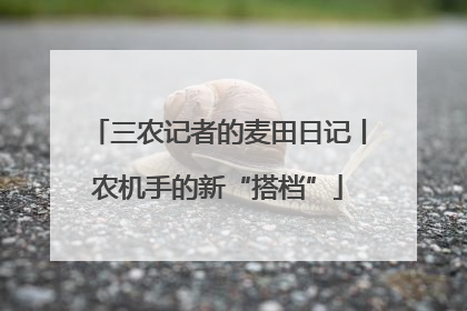 三农记者的麦田日记丨农机手的新“搭档”