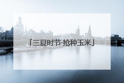 三夏时节·抢种玉米