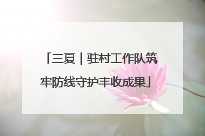 三夏｜驻村工作队筑牢防线守护丰收成果