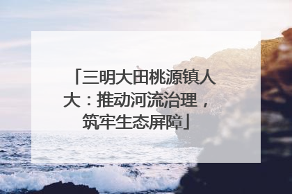 三明大田桃源镇人大：推动河流治理，筑牢生态屏障