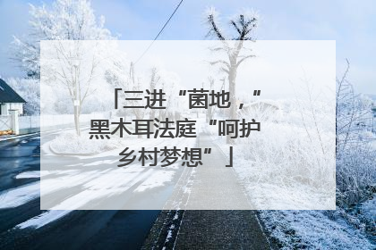 三进“菌地，”黑木耳法庭“呵护乡村梦想”