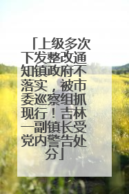 上级多次下发整改通知镇政府不落实，被市委巡察组抓现行！吉林一副镇长受党内警告处分