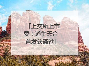 上交所上市委：道生天合首发获通过