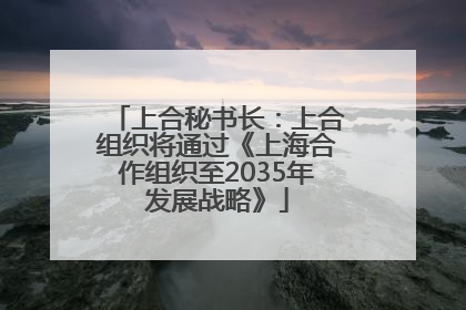 上合秘书长：上合组织将通过《上海合作组织至2035年发展战略》