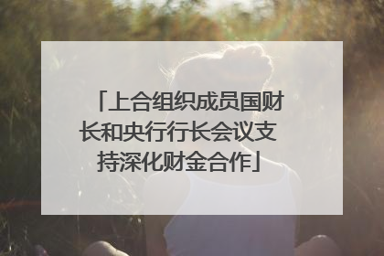 上合组织成员国财长和央行行长会议支持深化财金合作