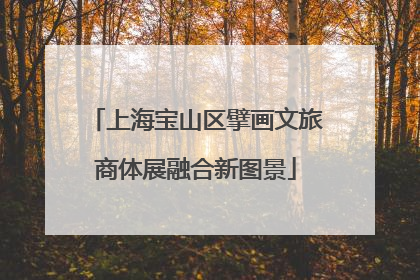 上海宝山区擘画文旅商体展融合新图景