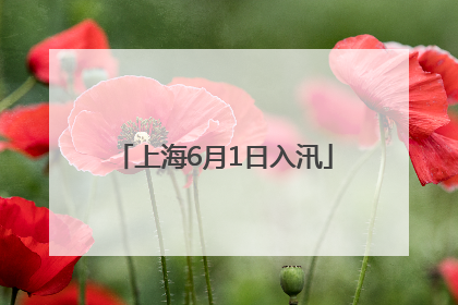 上海6月1日入汛