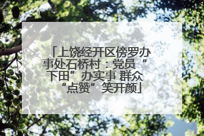 上饶经开区傍罗办事处石桥村：党员“下田”办实事 群众“点赞”笑开颜